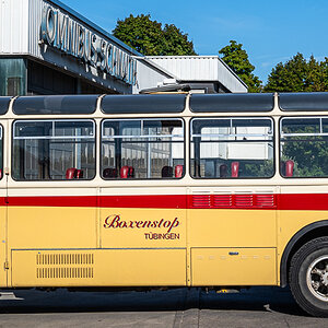 DSCF0034-3.jpg