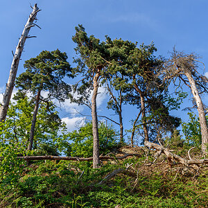 OF2_73953.jpg