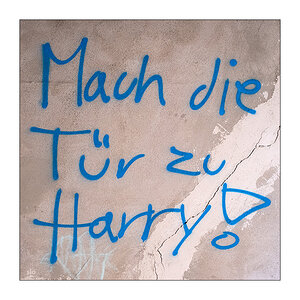 231/365 Brandi Carlile – The Stranger At My Door © 2025 Sabine Lommatzsch