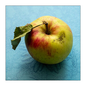 233/365 Kajagoogoo – Big Apple © 2025 Sabine Lommatzsch