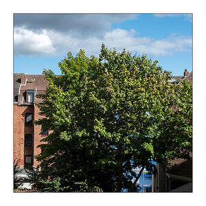 234/365 The Corrs – Summer Sunshine © 2025 Sabine Lommatzsch