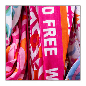 235/365 Lady Gaga – Free Woman © 2025 Sabine Lommatzsch