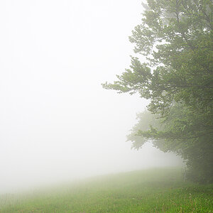 Nebel.jpg