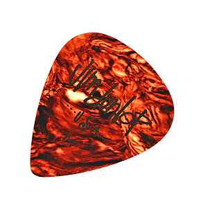 Jim Dunlop 2.jpg