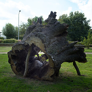 B0000151.jpg