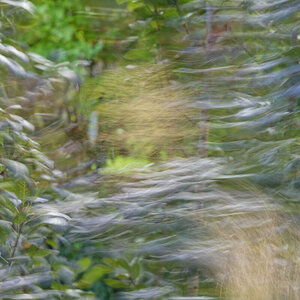 Windspiel 02