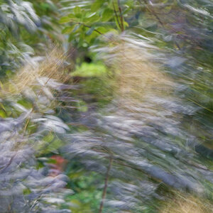 Windspiel 03