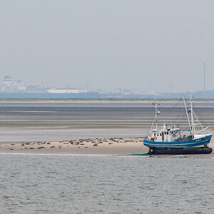 250828 Krabbenkutter FED 4-2.jpg
