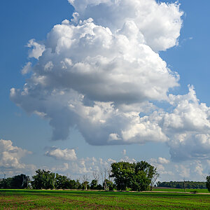 OFZ_02279.jpg