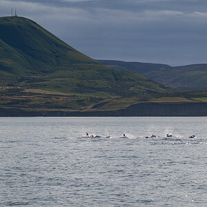 DSC_0860.jpg