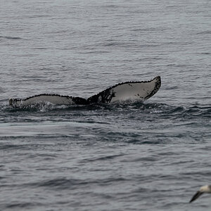 DSC_1688.jpg