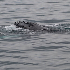 DSC_1840.jpg