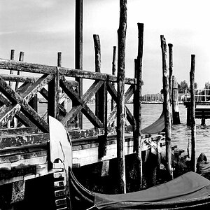 bella Venice
