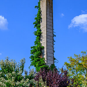 OFZ_02295.jpg