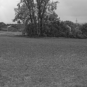 _DSC0780_DxOxl_SW_BKS.jpg