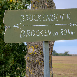 OFZ_02439.jpg
