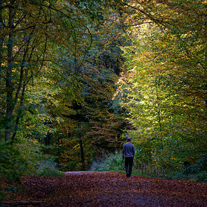 Herbstweg