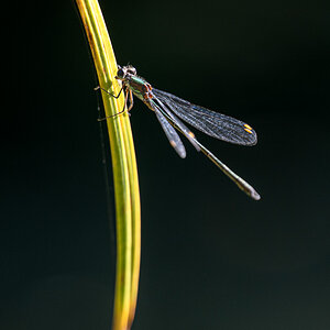 20250929-NZ7_4625.jpg