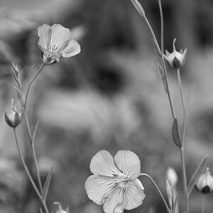 _DSC0820_DxOHAxl_SW_1.jpg