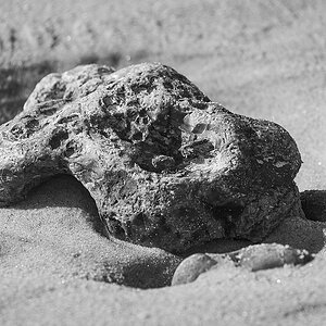 Strandgut