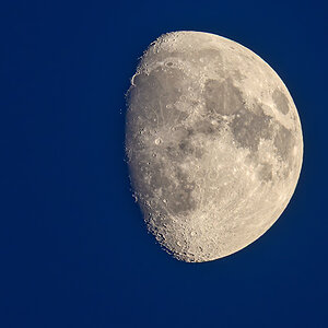 OF5_51551.jpg