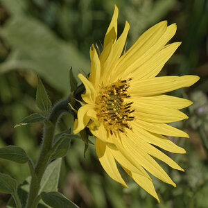 _DSC0907_DxOAxl.jpg