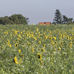 _DSC0902_DxOPxl.jpg