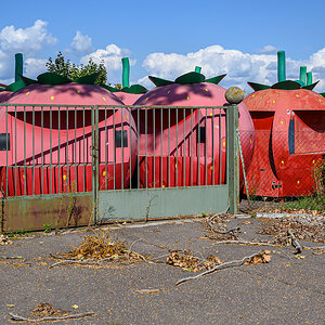 OFZ_02294.jpg