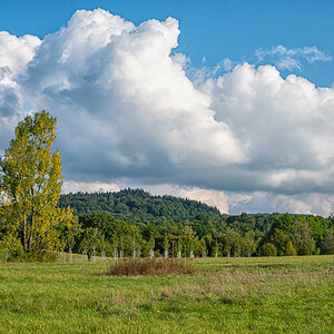 DSC_7019_1.jpg