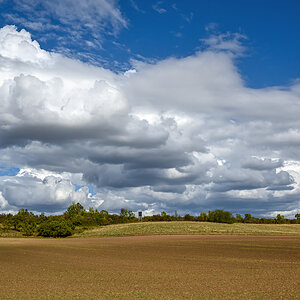 OFZ_02318.jpg