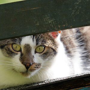 NA048664nikon.jpg