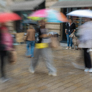 Keinen Hund vor die Tür