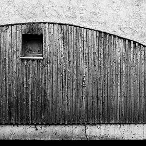 IMG_2025-10-07-122009.jpeg