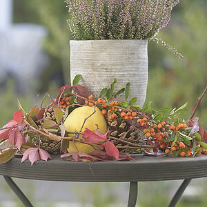 Herbst_ZF11089_15x10x150.jpg