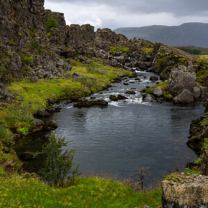 DSC_0276.jpg