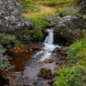 DSC_0658.jpg