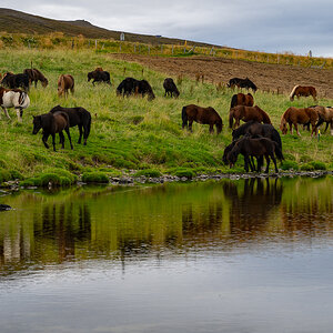 DSC_0666.jpg