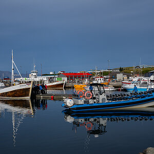 DSC_0704.jpg