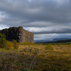 DSC_2167.jpg