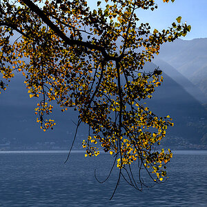 Herbst.jpg