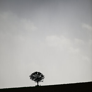 Z8A_1146fks40p1.jpg