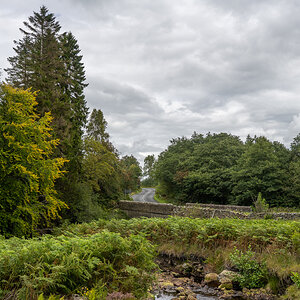 pw_20250902_3268.jpg