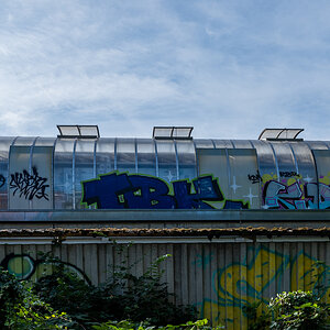 DSCF0055.jpg