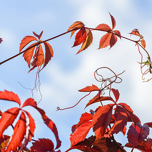 OF2_05068.jpg