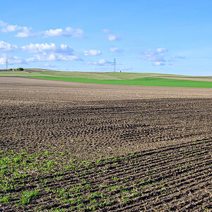 OFZ_02651.jpg