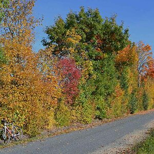 Goldener Oktober 1_2.jpg