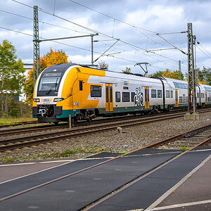 OFZ_02595.jpg