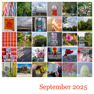 365 | 2025 Monatsmosaik September