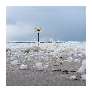 278/365 Billy Joel – Storm Front © 2025 Sabine Lommatzsch