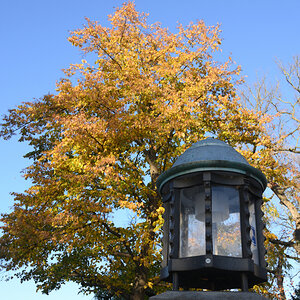 DSC_2595.JPG